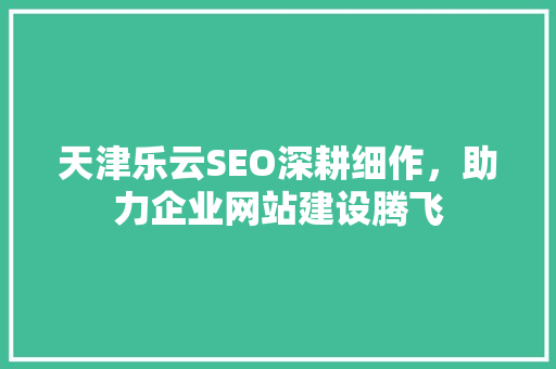 天津乐云SEO深耕细作，助力企业网站建设腾飞
