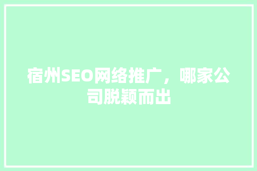 宿州SEO网络推广，哪家公司脱颖而出