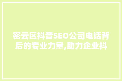 密云区抖音SEO公司电话背后的专业力量,助力企业抖音营销新篇章