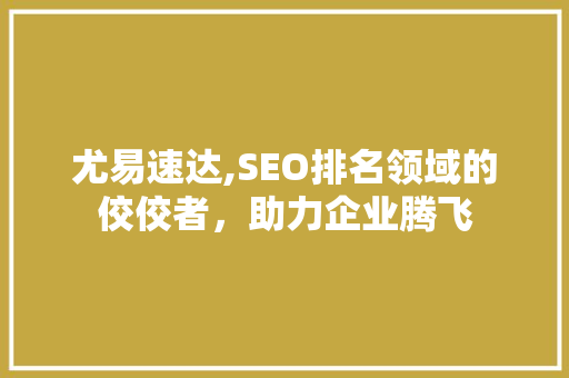 尤易速达,SEO排名领域的佼佼者，助力企业腾飞