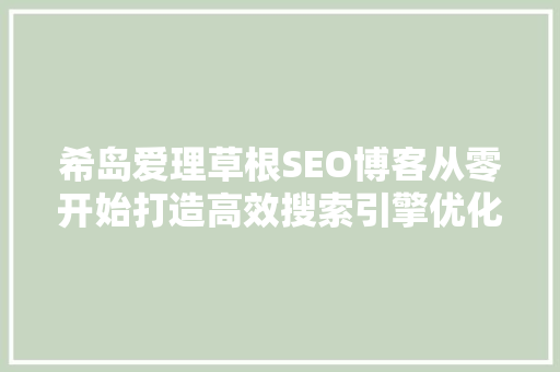 希岛爱理草根SEO博客从零开始打造高效搜索引擎优化之路