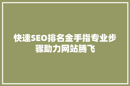 快速SEO排名金手指专业步骤助力网站腾飞  第1张