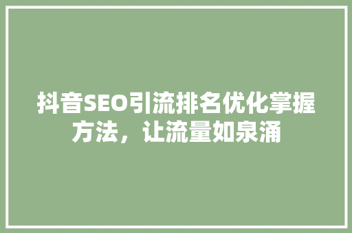 抖音SEO引流排名优化掌握方法，让流量如泉涌  第1张