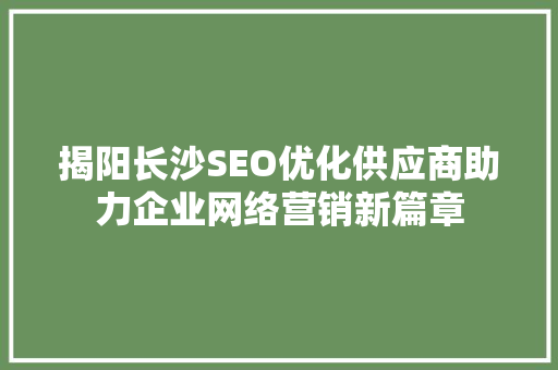 揭阳长沙SEO优化供应商助力企业网络营销新篇章