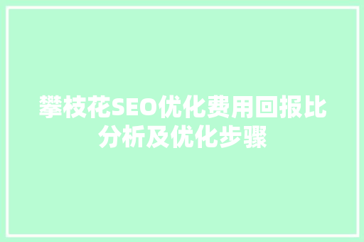 攀枝花SEO优化费用回报比分析及优化步骤