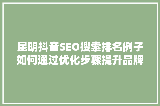 昆明抖音SEO搜索排名例子如何通过优化步骤提升品牌曝光度