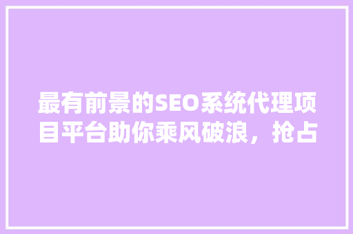 最有前景的SEO系统代理项目平台助你乘风破浪，抢占市场先机