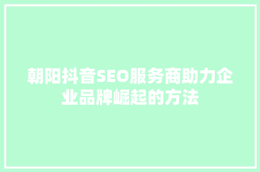 朝阳抖音SEO服务商助力企业品牌崛起的方法