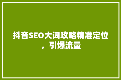 抖音SEO大词攻略精准定位，引爆流量