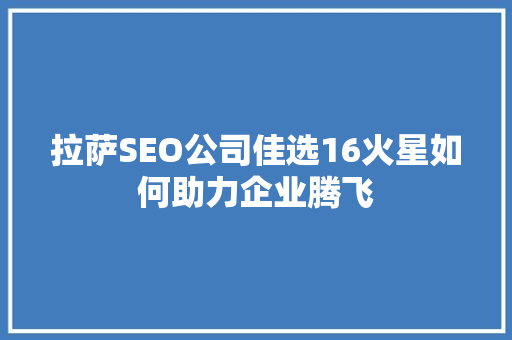 拉萨SEO公司佳选16火星如何助力企业腾飞