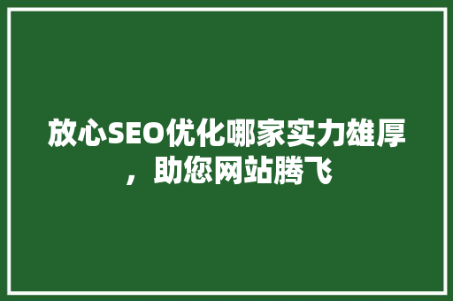 放心SEO优化哪家实力雄厚，助您网站腾飞