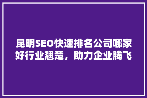 昆明SEO快速排名公司哪家好行业翘楚，助力企业腾飞