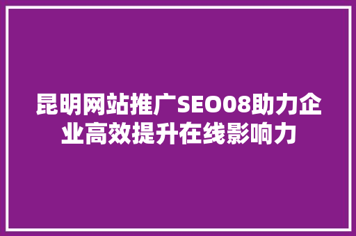昆明网站推广SEO08助力企业高效提升在线影响力