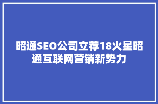 昭通SEO公司立荐18火星昭通互联网营销新势力
