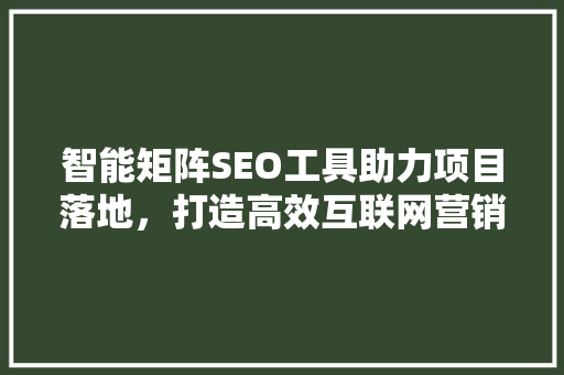智能矩阵SEO工具助力项目落地，打造高效互联网营销新格局