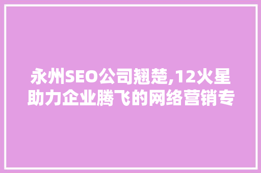 永州SEO公司翘楚,12火星助力企业腾飞的网络营销专家