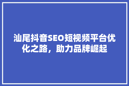 汕尾抖音SEO短视频平台优化之路，助力品牌崛起