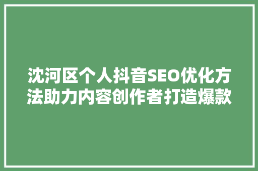 沈河区个人抖音SEO优化方法助力内容创作者打造爆款短视频  第1张