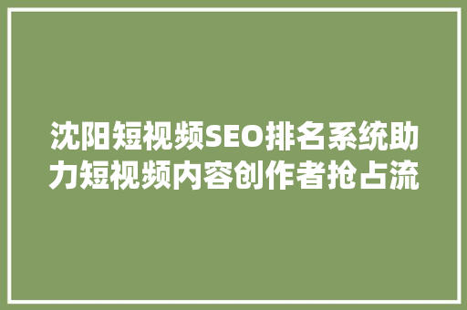 沈阳短视频SEO排名系统助力短视频内容创作者抢占流量高地