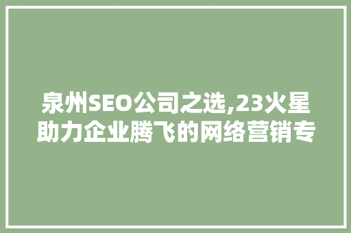 泉州SEO公司之选,23火星助力企业腾飞的网络营销专家
