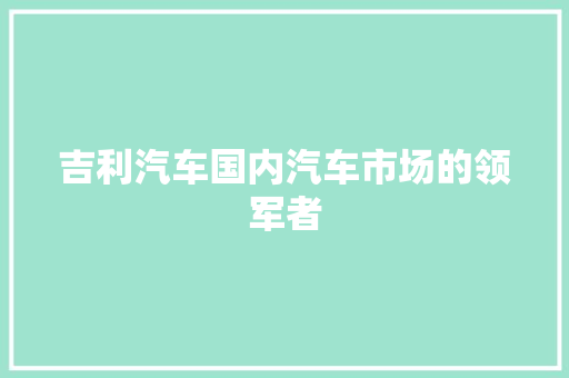 吉利汽车国内汽车市场的领军者