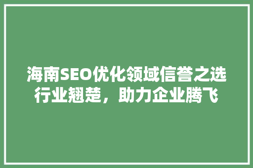海南SEO优化领域信誉之选行业翘楚，助力企业腾飞