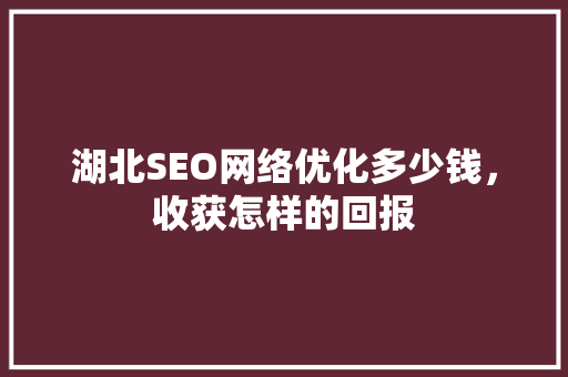 湖北SEO网络优化多少钱，收获怎样的回报