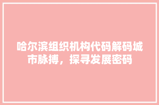 哈尔滨组织机构代码解码城市脉搏，探寻发展密码
