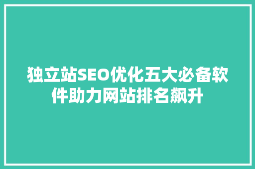 独立站SEO优化五大必备软件助力网站排名飙升