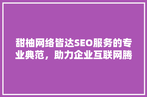 甜柚网络皆达SEO服务的专业典范，助力企业互联网腾飞