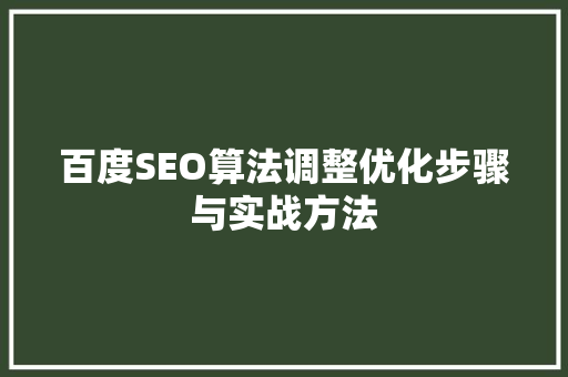 百度SEO算法调整优化步骤与实战方法