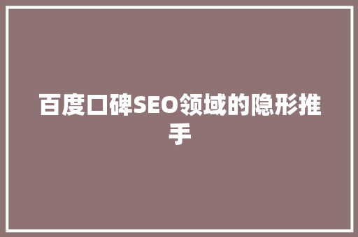 百度口碑SEO领域的隐形推手