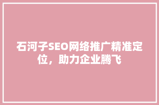 石河子SEO网络推广精准定位，助力企业腾飞
