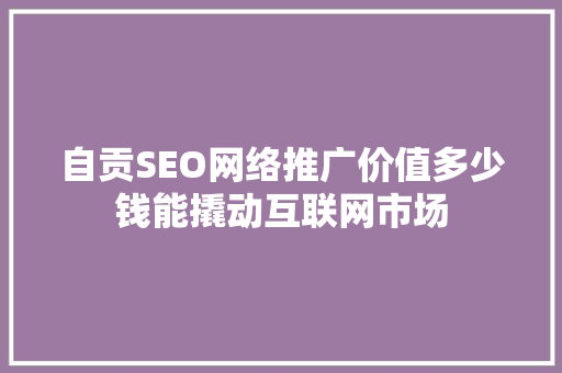 自贡SEO网络推广价值多少钱能撬动互联网市场