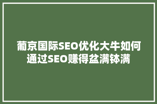 葡京国际SEO优化大牛如何通过SEO赚得盆满钵满