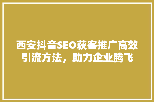 西安抖音SEO获客推广高效引流方法，助力企业腾飞