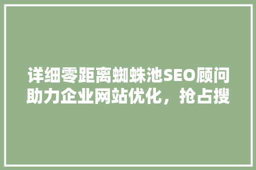 详细零距离蜘蛛池SEO顾问助力企业网站优化，抢占搜索引擎排名制高点