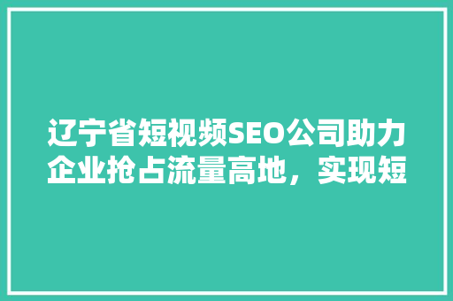 辽宁省短视频SEO公司助力企业抢占流量高地，实现短视频营销新突破