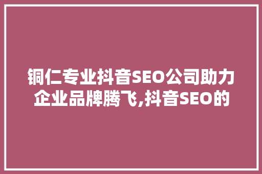 铜仁专业抖音SEO公司助力企业品牌腾飞,抖音SEO的奥秘