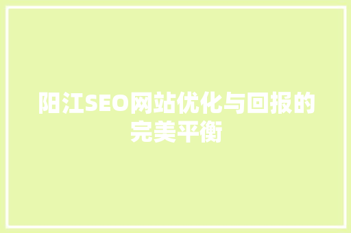 阳江SEO网站优化与回报的完美平衡