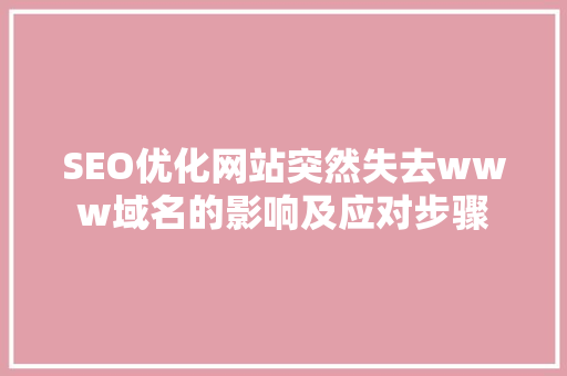 SEO优化网站突然失去www域名的影响及应对步骤