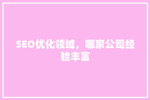 SEO优化领域，哪家公司经验丰富