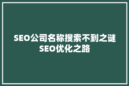 SEO公司名称搜索不到之谜SEO优化之路