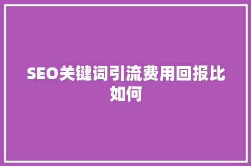 SEO关键词引流费用回报比如何