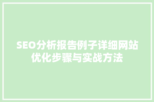 SEO分析报告例子详细网站优化步骤与实战方法  第1张