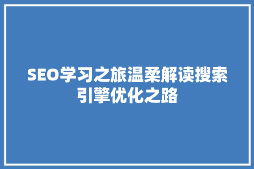 SEO学习之旅温柔解读搜索引擎优化之路