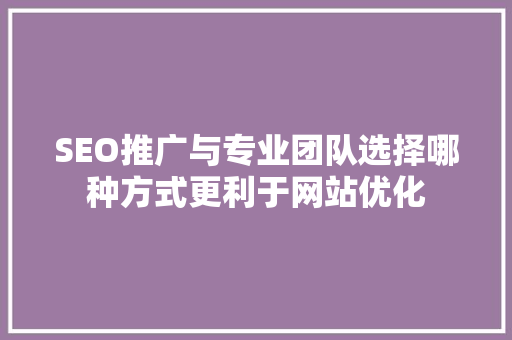 SEO推广与专业团队选择哪种方式更利于网站优化  第1张