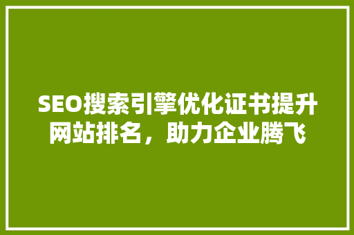 SEO搜索引擎优化证书提升网站排名，助力企业腾飞  第1张