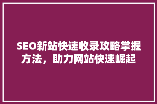 SEO新站快速收录攻略掌握方法，助力网站快速崛起