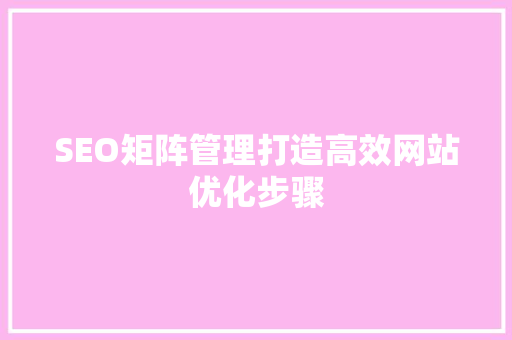 SEO矩阵管理打造高效网站优化步骤  第1张